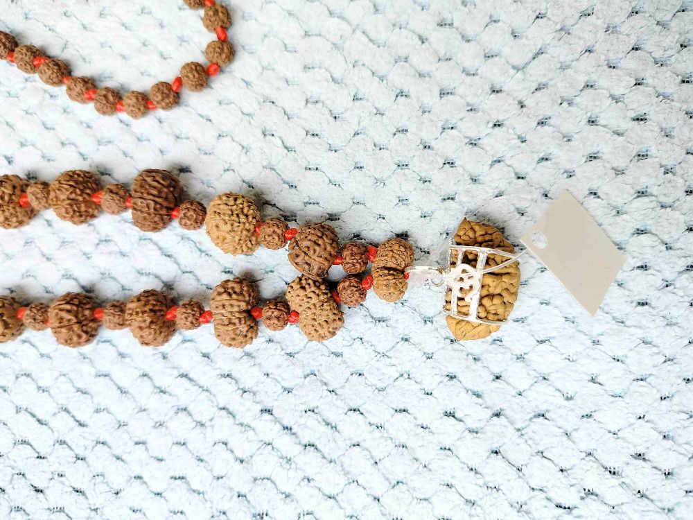 A vibrant display showcasing various authentic Rudraksha beads, highlighting their unique shapes and mukhis